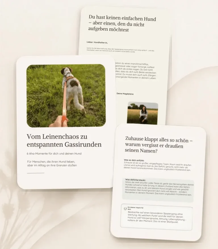 Vorschau Guide - Hundetraining DogRounder